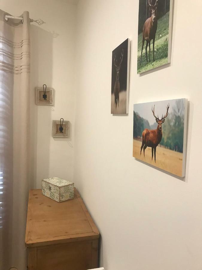 Apartament Neret II Сорт Экстерьер фото